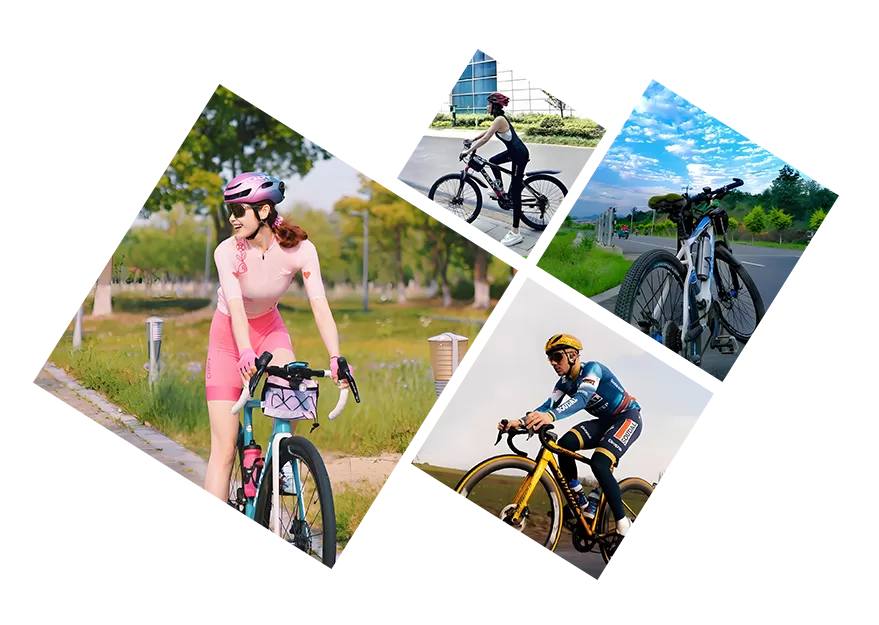 Undertake global regional agency  motorcycle and bicycle stores